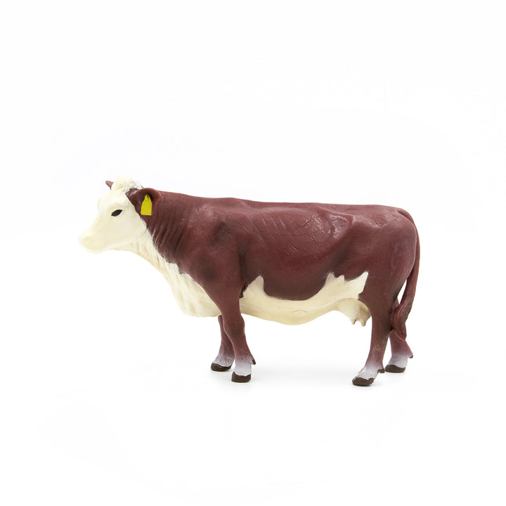 LBT Hereford Cow