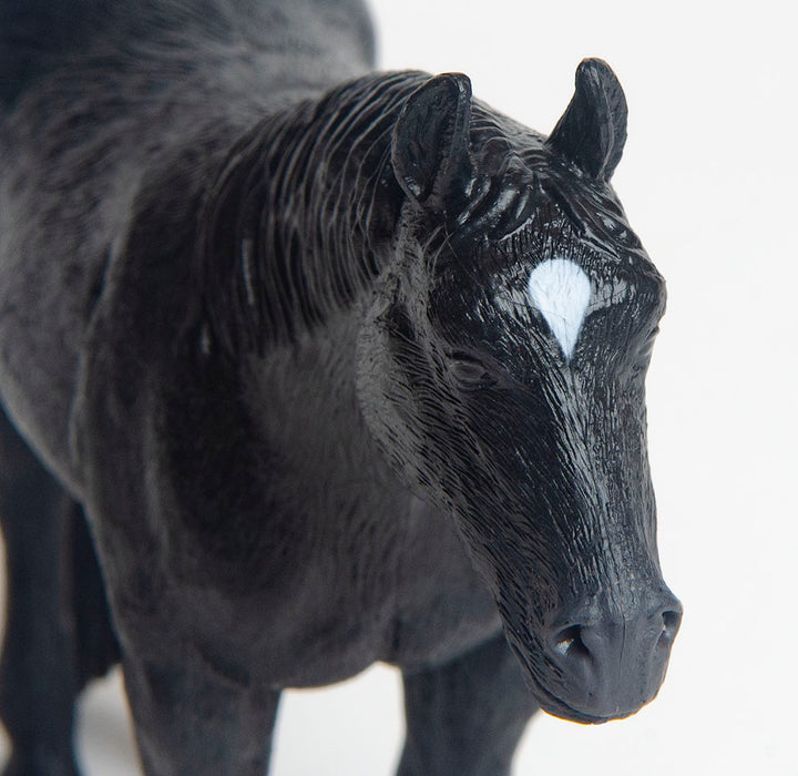 LBT Quarter Horse {black}