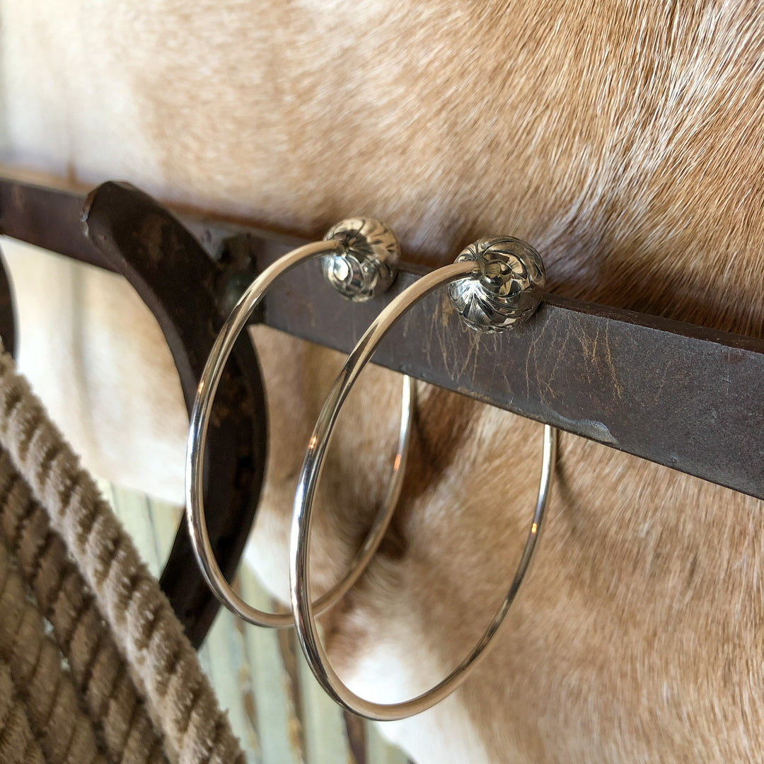 Horseshoe Bend Earrings