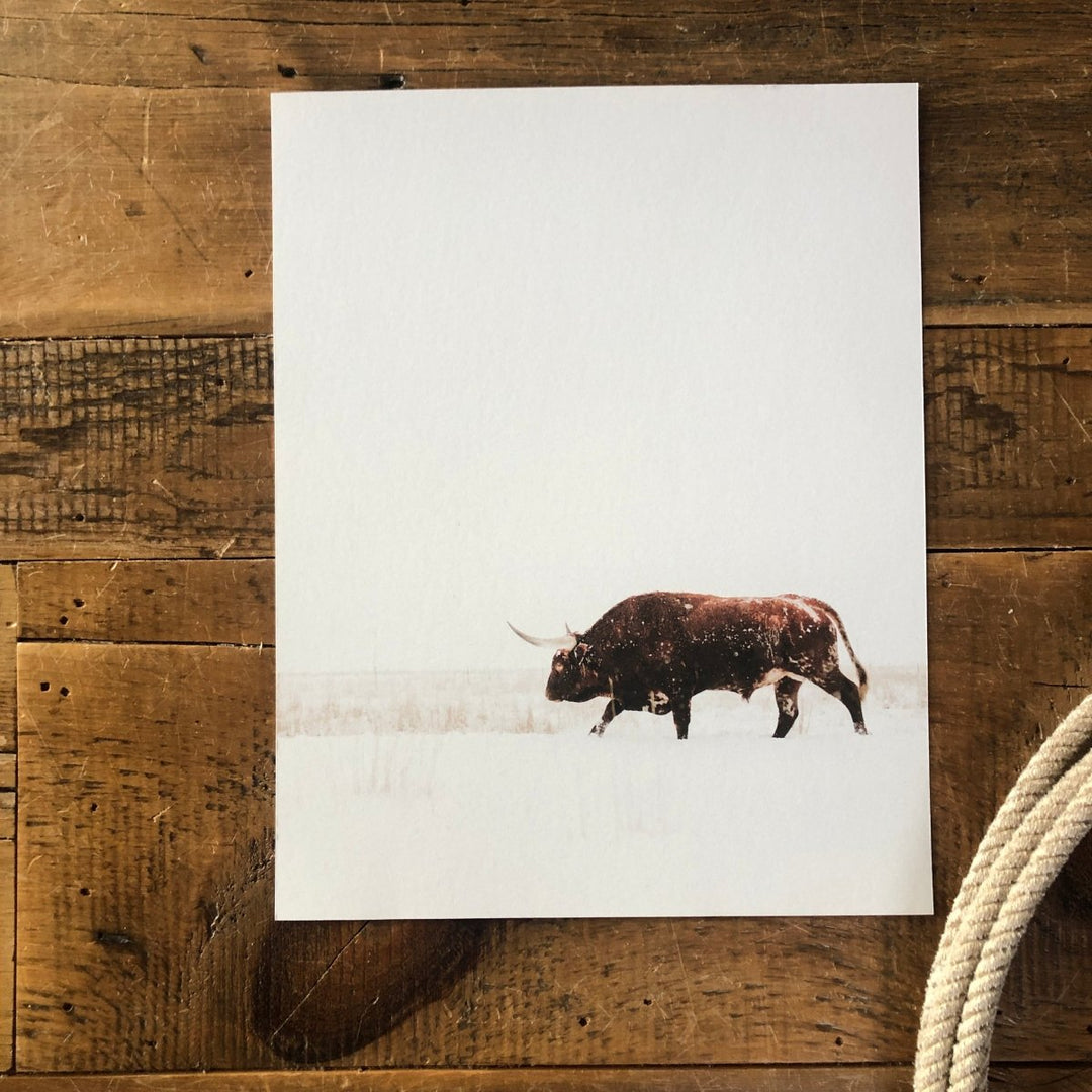 The White Out Alex Callaghan Print by Savannah Sevens western life{&}style features a square print of a Longhorn bull on natural rag paper, walking in snow with prominent horns, displayed on rustic wood with a coiled rope in the corner.