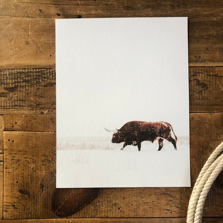 The White Out Alex Callaghan Print by Savannah Sevens western life{&}style features a square print of a Longhorn bull on natural rag paper, walking in snow with prominent horns, displayed on rustic wood with a coiled rope in the corner.